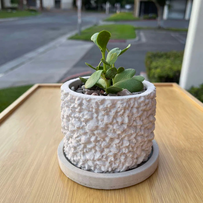 Minimalist Round Planter Silicone Molds