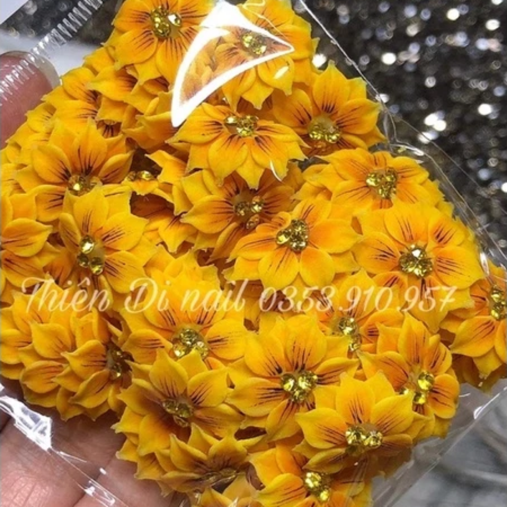 Hoa Bột Nail - Hoa Cúc Cho Móng Chân