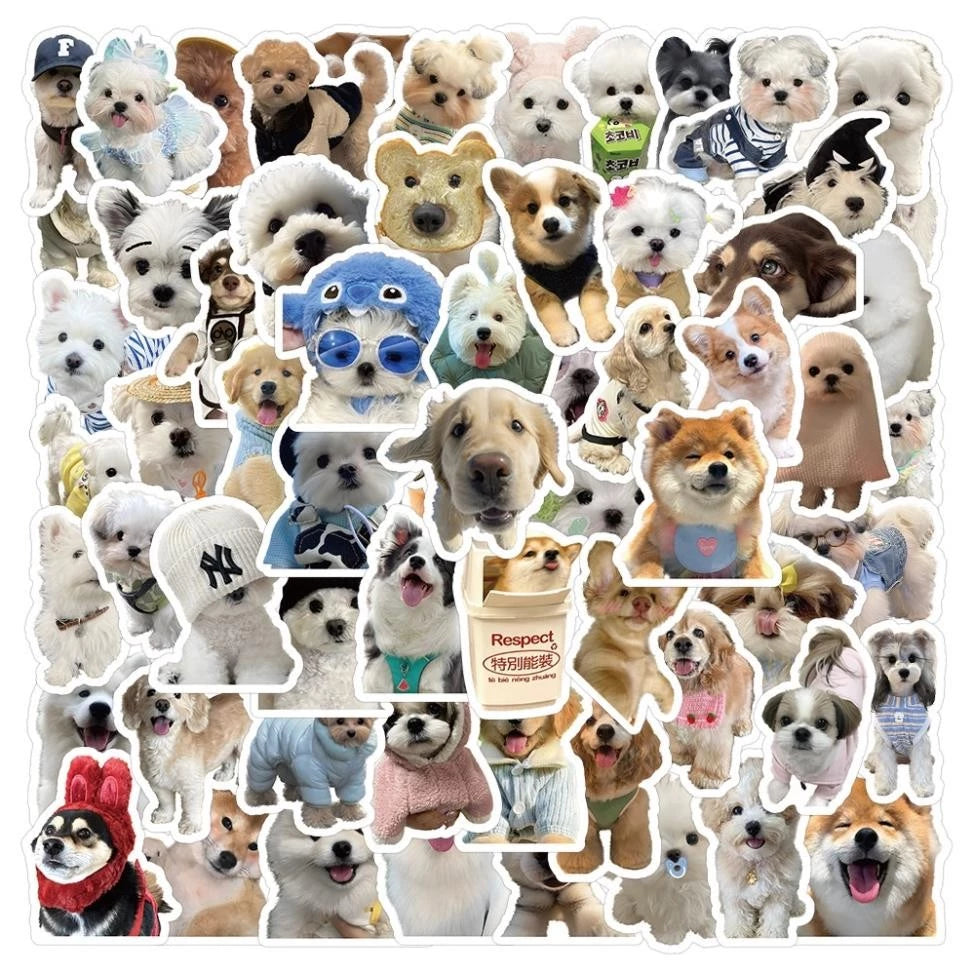 Set Funny Dog and Cat Meme Stickers