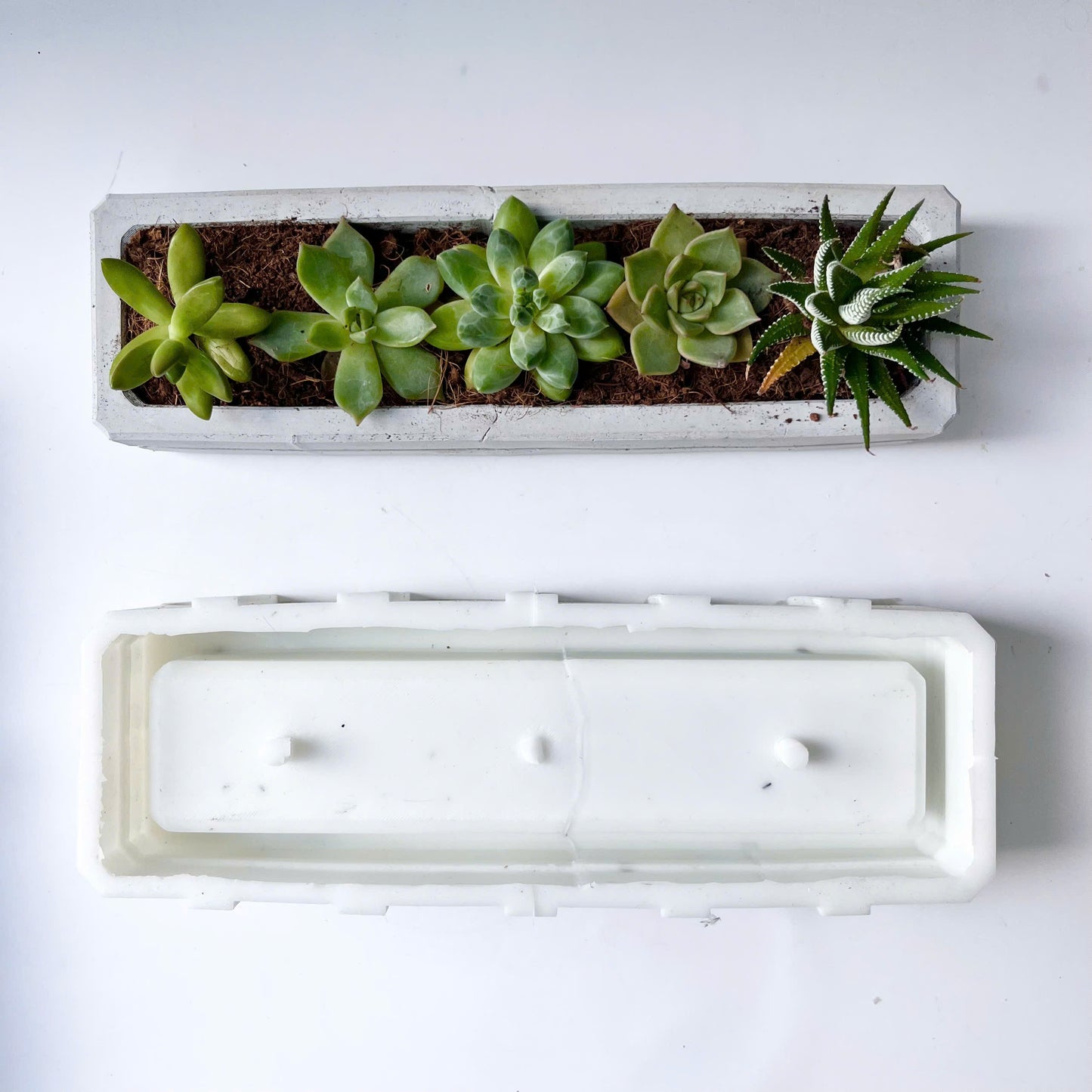 Rectangular Planter Silicone Molds