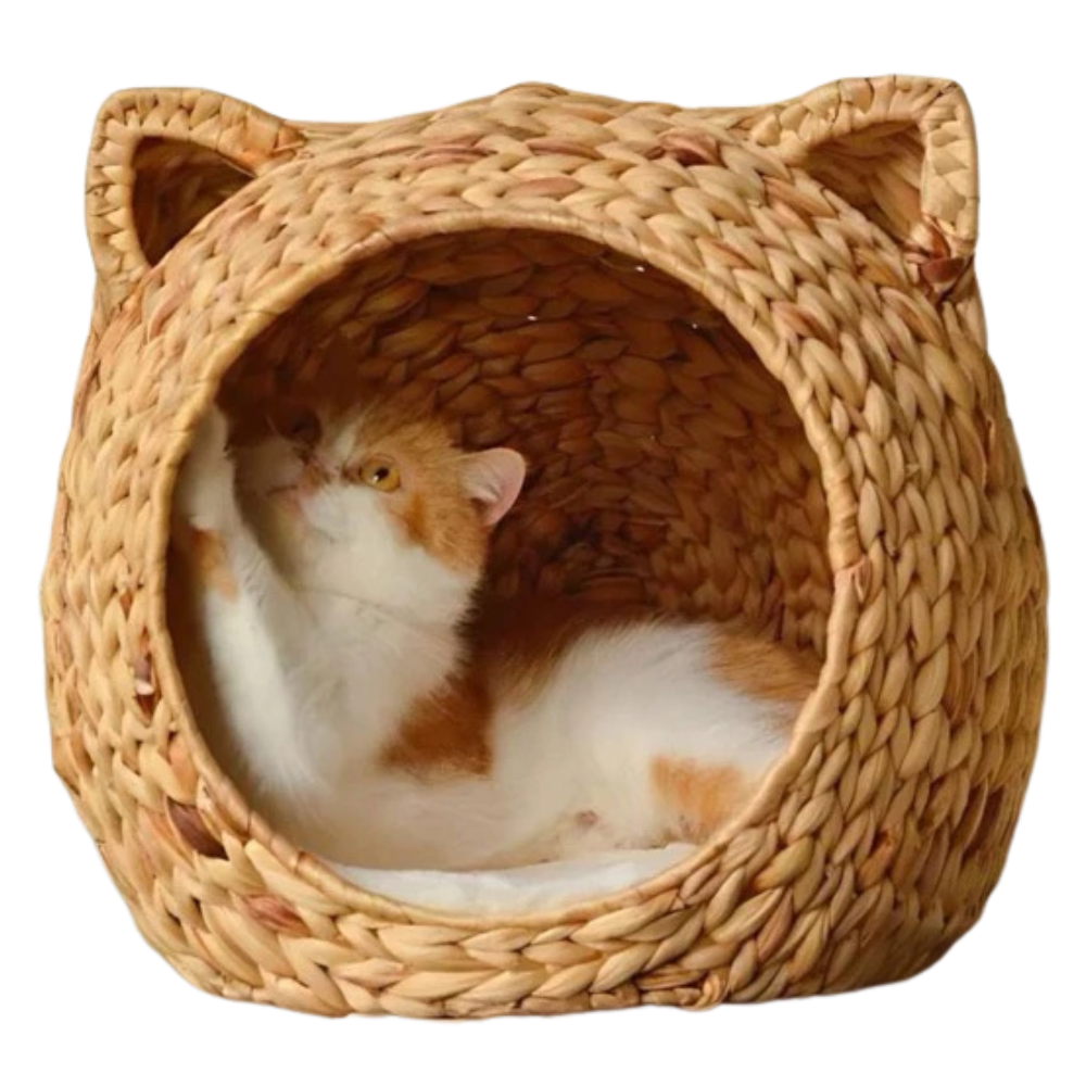 Pet Shop