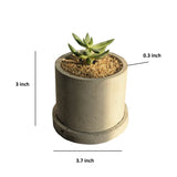 Round Vintage Pattern Planter Silicone Molds