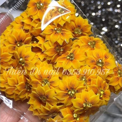 Hoa Bột Nail - Hoa Cúc Cho Móng Chân