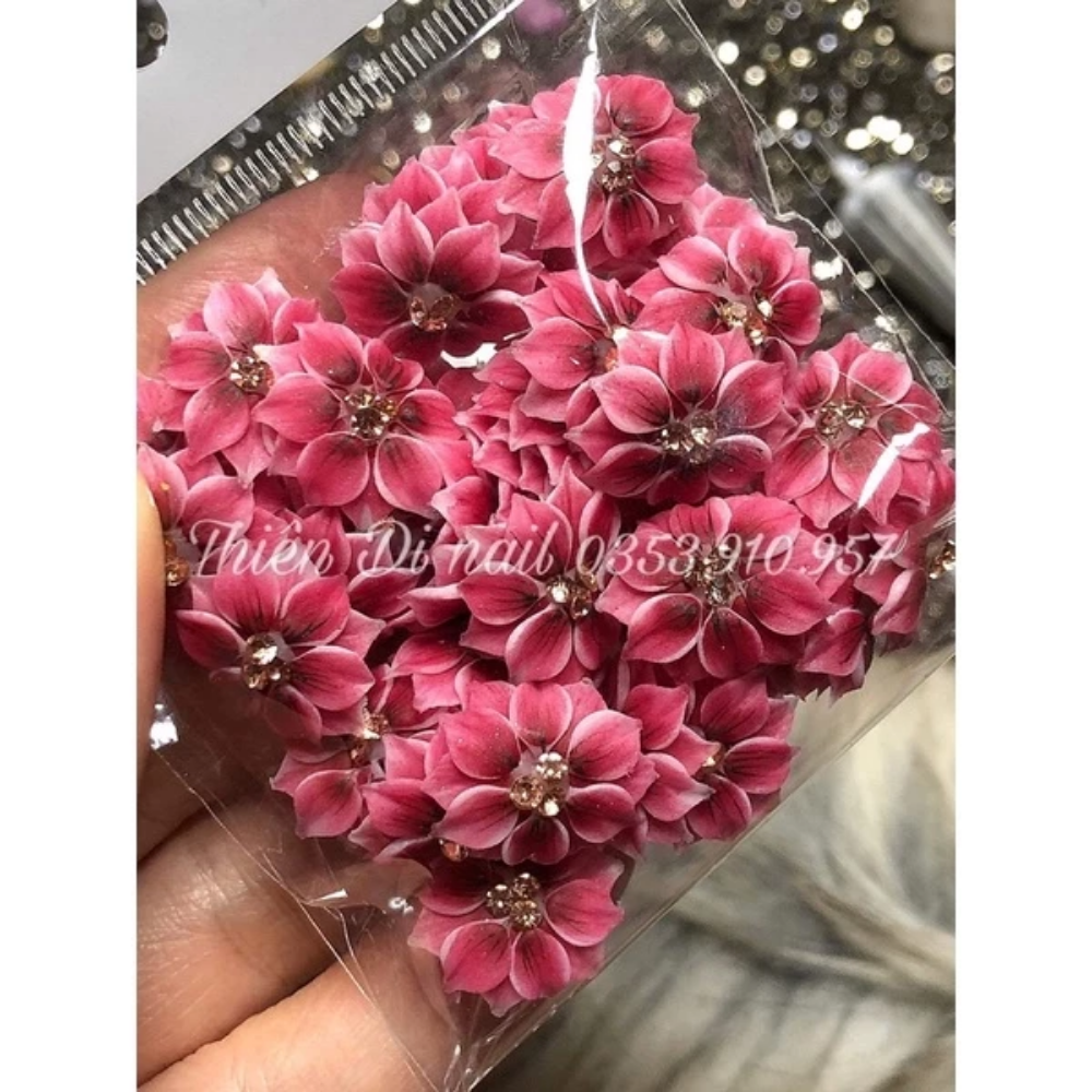 Hoa Bột Nail - Hoa Cúc Cho Móng Chân