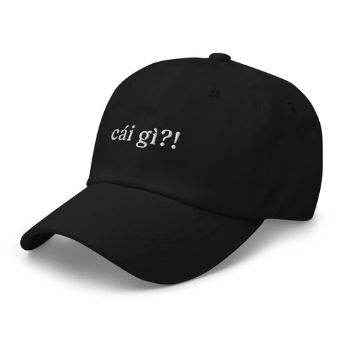 "Cái gì?!" Vietnamese Funny Dad Embroidered Hat