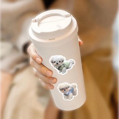 Set Funny Dog and Cat Meme Stickers