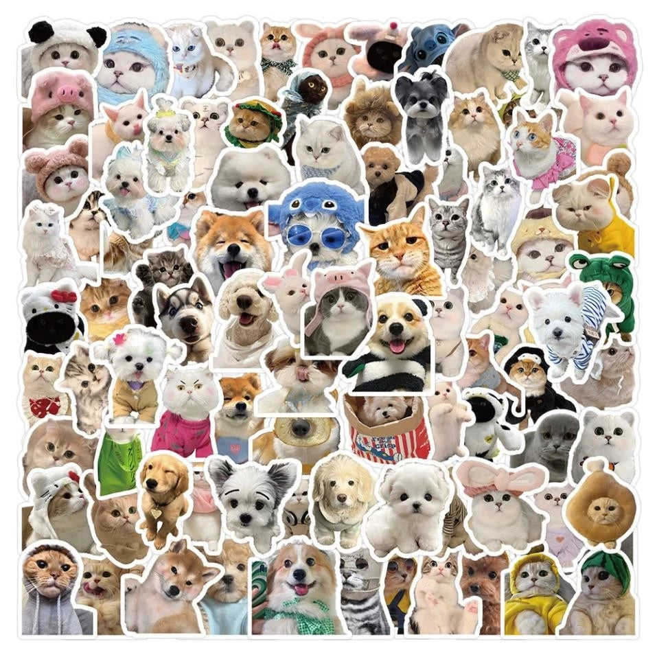 Set Funny Dog and Cat Meme Stickers