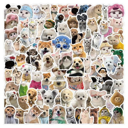 Set Funny Dog and Cat Meme Stickers