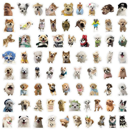 Set Funny Dog and Cat Meme Stickers