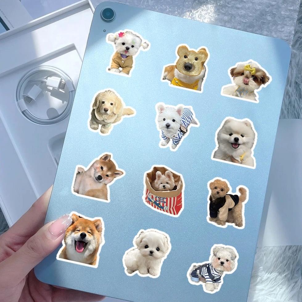 Set Funny Dog and Cat Meme Stickers