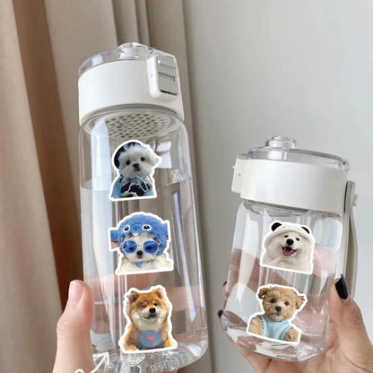 Set Funny Dog and Cat Meme Stickers