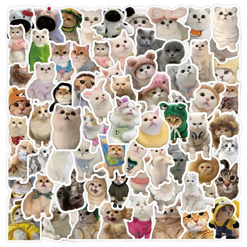 Set Funny Dog and Cat Meme Stickers