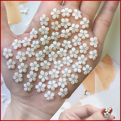 Hoa Bột Nail - Hoa Mai Nhí