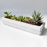 Rectangular Planter Silicone Molds