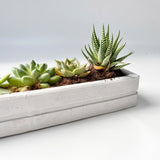 Rectangular Planter Silicone Molds