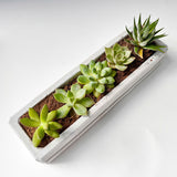 Rectangular Planter Silicone Molds