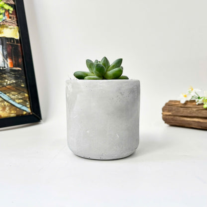 Cylindrical silicone mold for plant pots