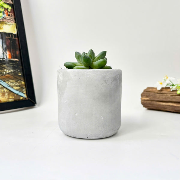 Cylindrical silicone mold for plant pots