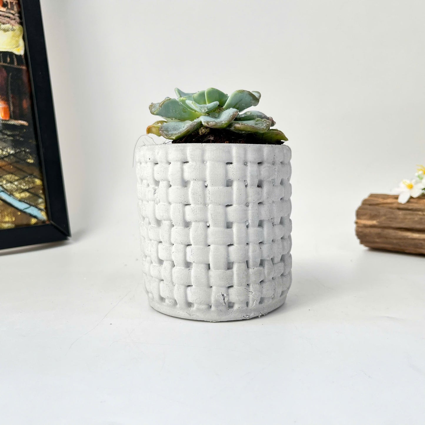 Plant Pot Silicone Mold with Embossed Pattern
