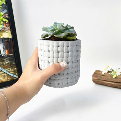 Plant Pot Silicone Mold with Embossed Pattern