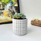 Plant Pot Silicone Mold with Embossed Pattern