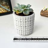 Plant Pot Silicone Mold with Embossed Pattern