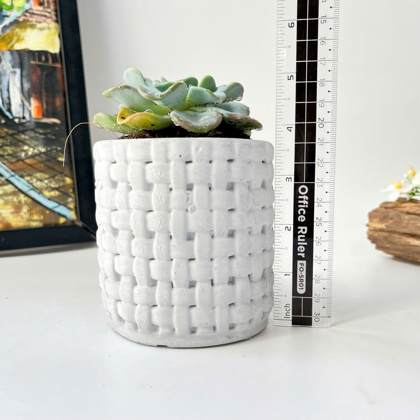 Plant Pot Silicone Mold with Embossed Pattern