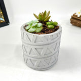 Plant Pot Silicone Mold with Triangle Pattern