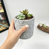 Plant Pot Silicone Mold with Triangle Pattern