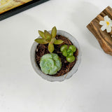 Plant Pot Silicone Mold with Triangle Pattern