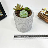 Plant Pot Silicone Mold with Triangle Pattern